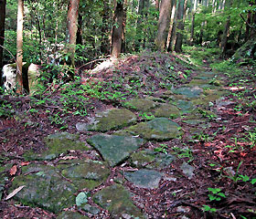 WEBスタートパックイメージ